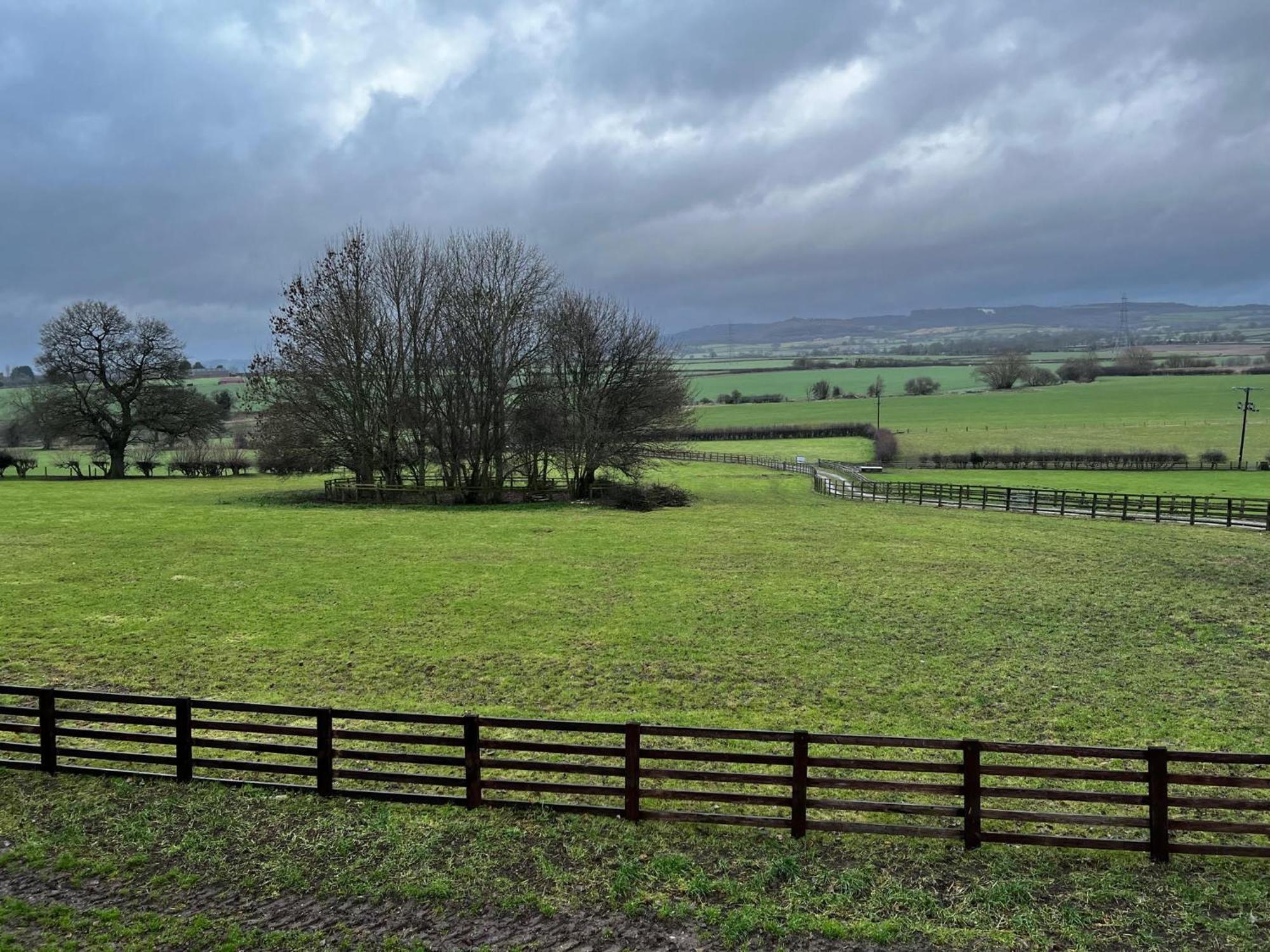 Burtree Country House, Tipi'S, Treehouse & Lodge & House Rooms With Hot Tubs In A Private Garden Thirsk Buitenkant foto